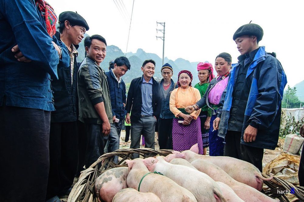 Chợ chó mèo lợn con ở Đồng Văn 