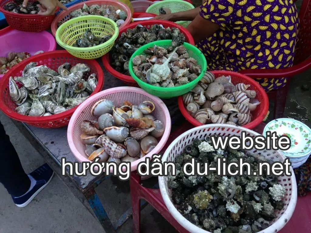 Review quán ốc Nhưng Lương Sơn ở Nha Trang, hơi xa nhưng giá sinh ...