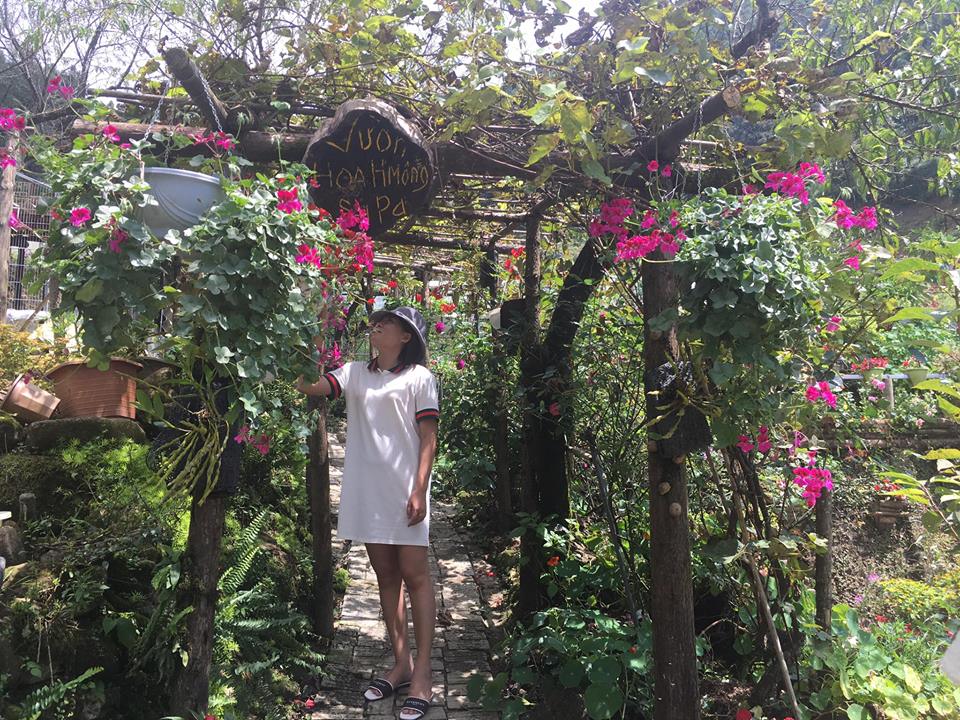 Hình ảnh của vườn hoa H'Mông Sapa