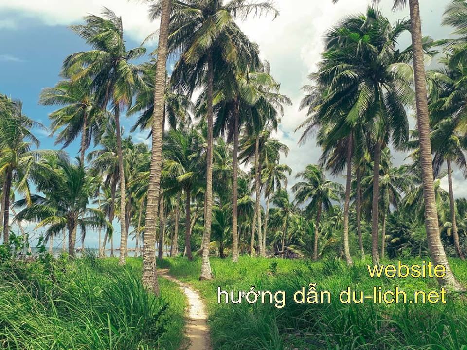 Trên hòn Móng Tay có rất nhiều dừa, cảnh đẹp thanh bình, hoang dã