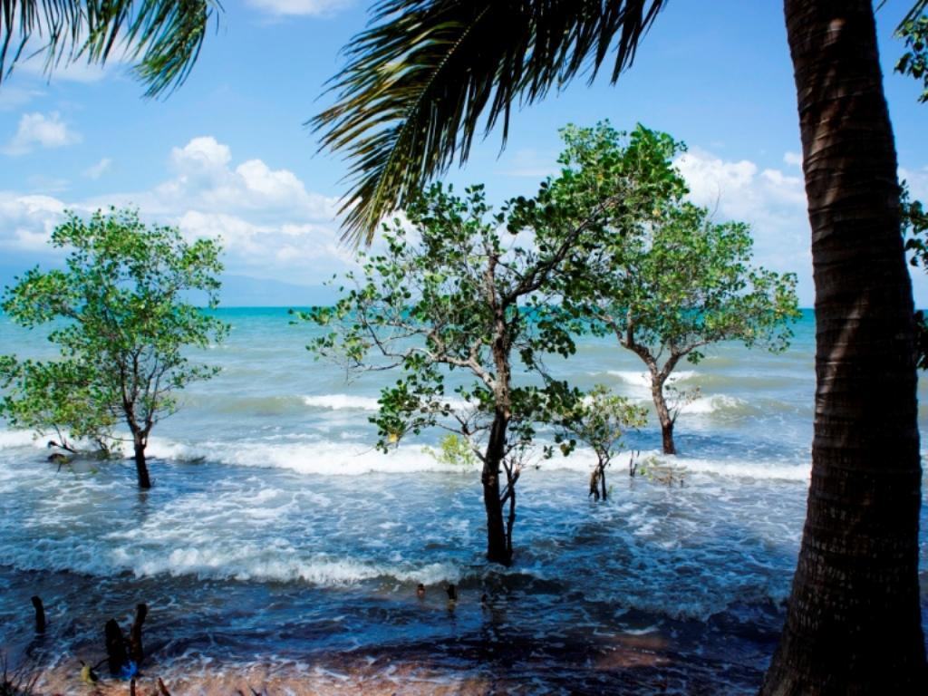 Bãi tắm Phú Quốc hoang sơ nhất: Hình ảnh nước ngập trắng xóa ở biển Bãi Vòng Phú Quốc