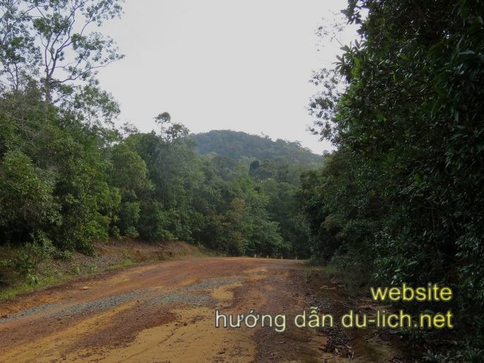 Con đường dẫn ra làng chài Rạch Vẹm Phú Quốc chạy giữa 10km rừng heo hút