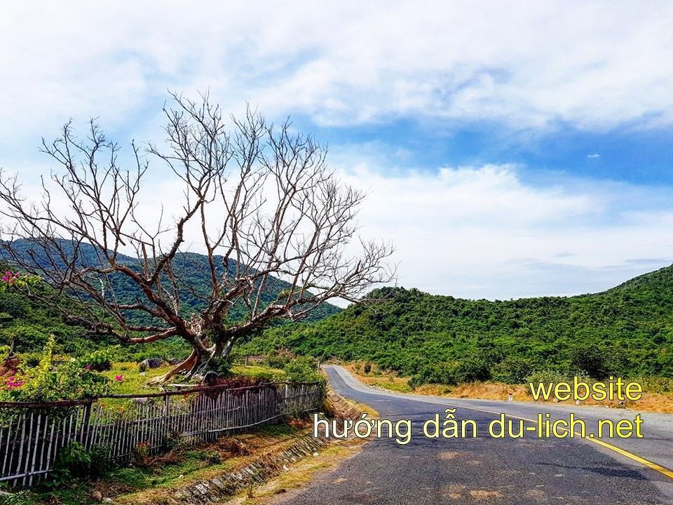 Hình ảnh Tuy Hòa Phú Yên Flycam: những con đường đẹp như mơ hiếm có trong đời bạn