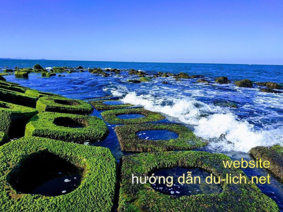 Hình ảnh Phú Yên Flycam: bờ kè phủ rêu ở xóm Rớ