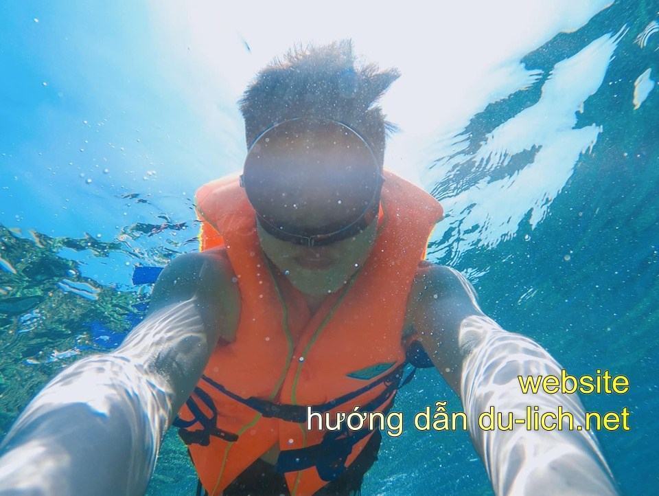 Lặn ngắm san hô trên đảo bé Lý Sơn