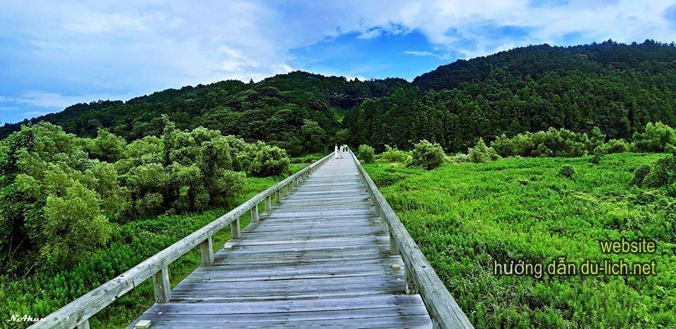 Hình ảnh Horai - cây cầu gỗ dài nhất thế giới tại Nhật Bản (1)