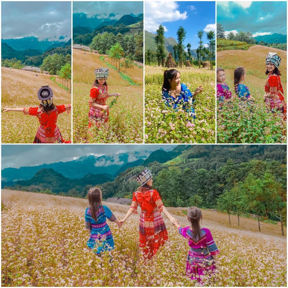 Hình ảnh đẹp của các mùa hoa ở Hà Giang. Photo Giàng Thị Piề