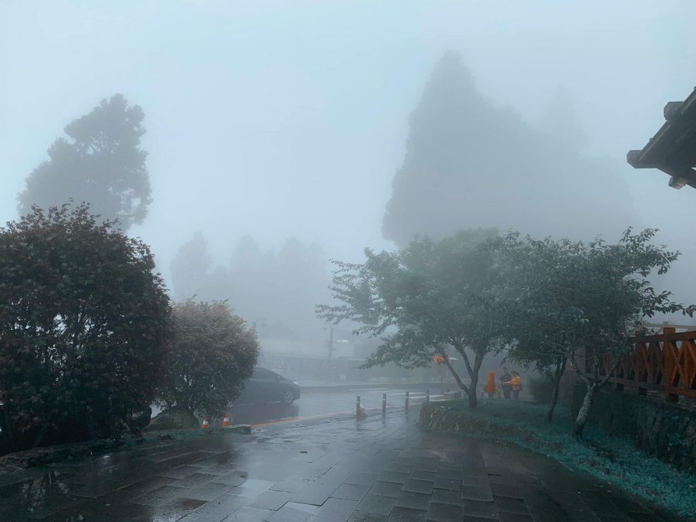 Alishan ở Đài Trung đẹp nhất vào mùa xuân, tránh đi những ngày mưa, mùa mưa bão