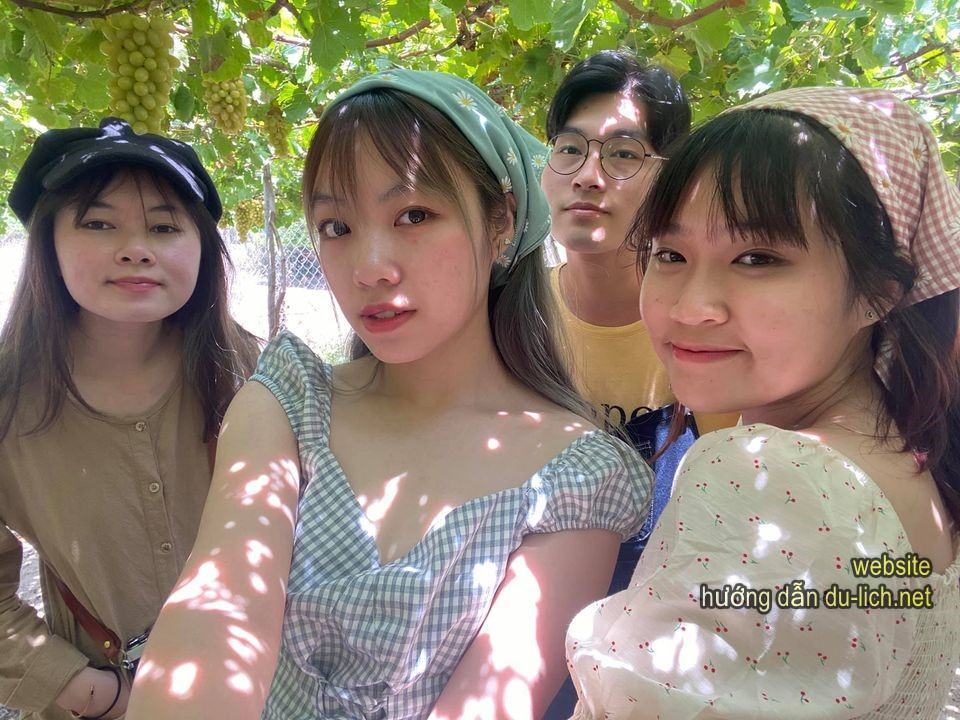 Cả lũ check in vườn nho Ninh Thuận