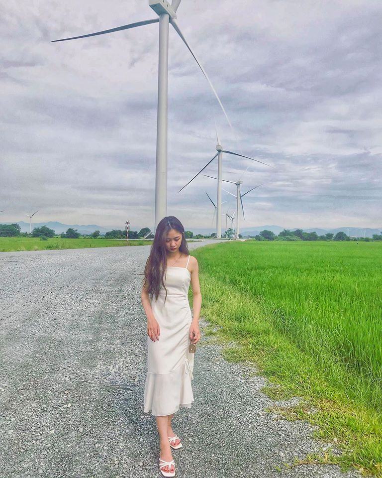 Hình ảnh cánh đồng quạt gió Ninh Thuận