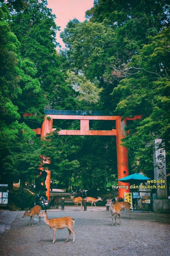 Cổng của ngôi đền thần đạo Fushimi inari Taisha