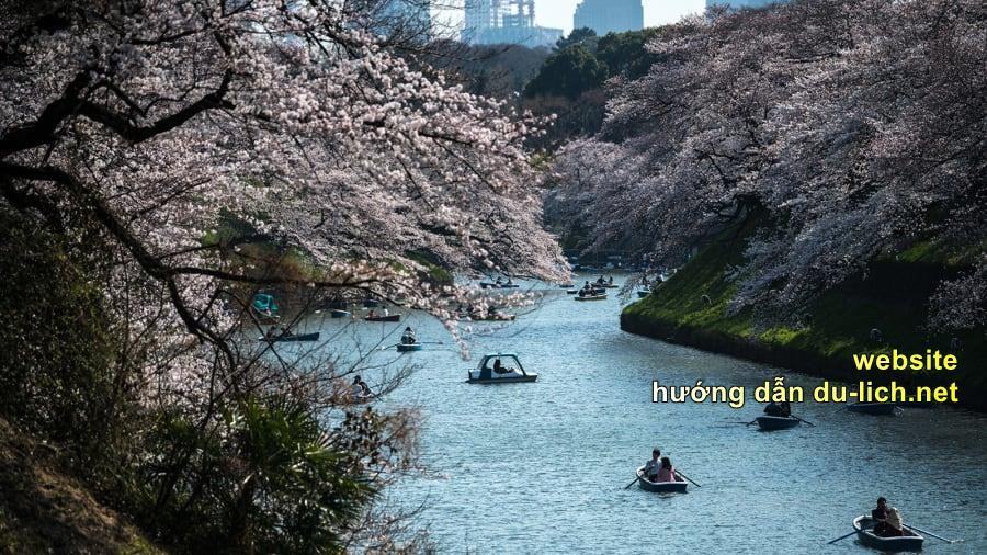 Địa điểm check-in ở Tokyo: dòng sông hoa anh đào rợp đôi bờ trong khuôn viên của hoàng cung Nhật Bản
