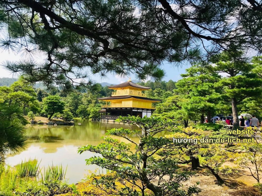 Hình ảnh ngôi chùa vàng Kinkaku-ji nằm giữa hồ nước xanh mát giữa khu rừng núi của cố đô Nhật Bản