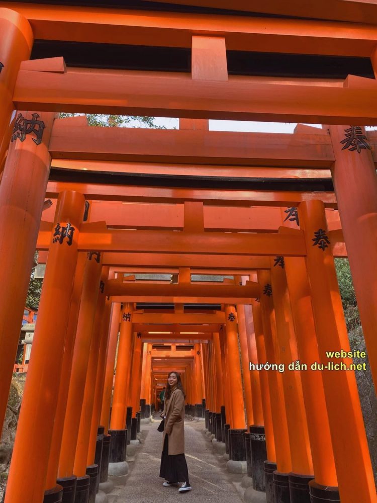 Hình ảnh những cột gỗ đỏ dọc theo đường lên đền thần đạo