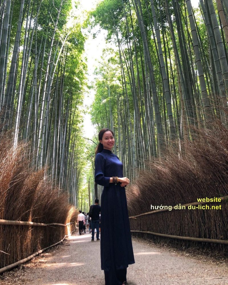 Một em gái từ Việt Nam check in rừng trúc rừng trúc Arashiyama
