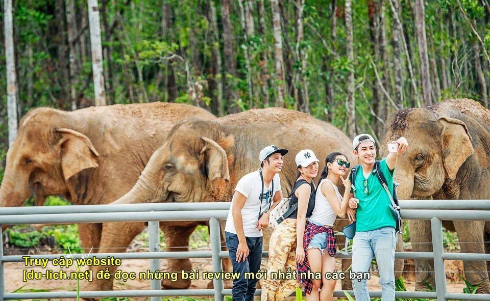 Check in chụp ảnh tại khu nuôi voi của Safari Phú Quốc