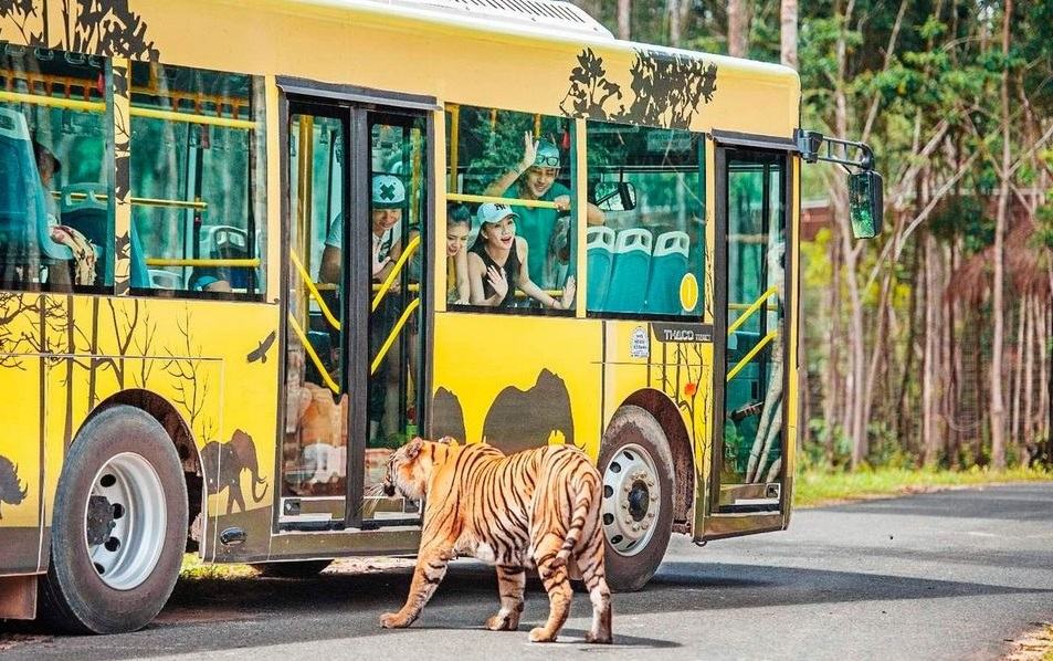 Kinh nghiệm đi chơi vườn thú Safari Phú Quốc chạm trán hổ