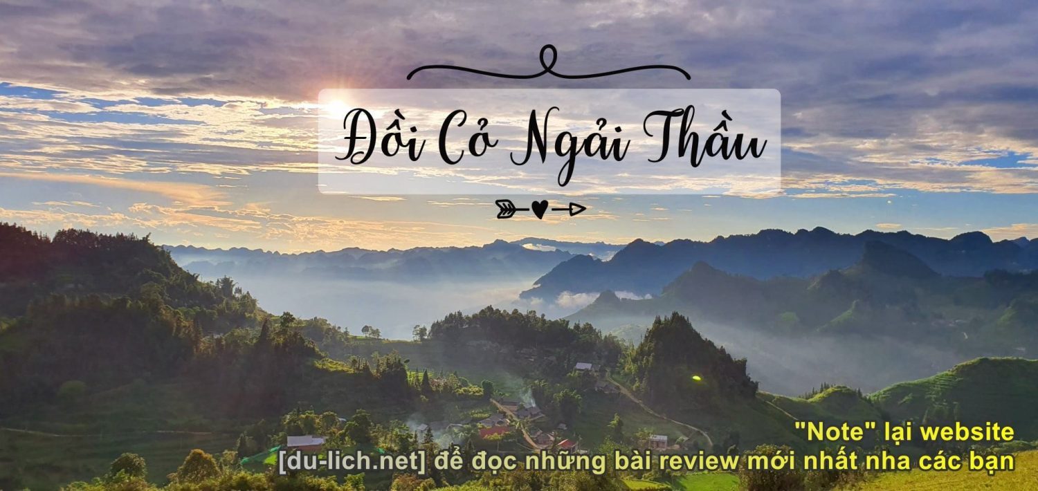 Kinh nghiệm du lịch Bắc Hà + Simacai: check in đồi cỏ Ngải Thầu