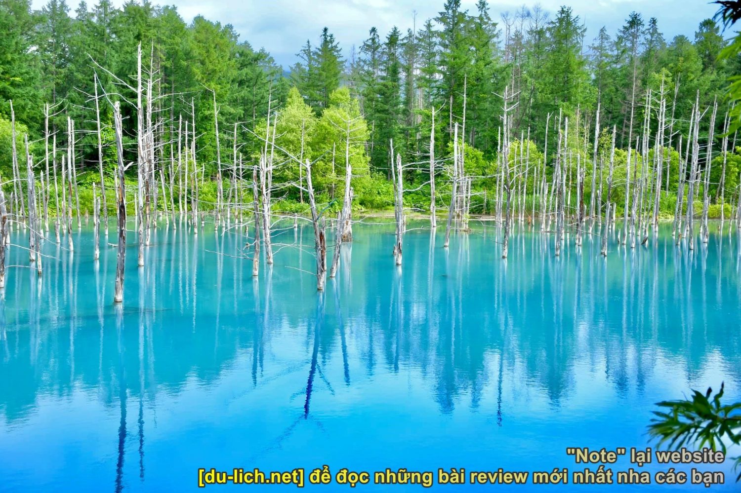 Phong cảnh tại hồ xanh Biei