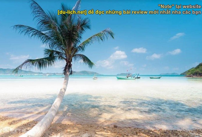 Hình ảnh bãi biển cây dừa nằm ở Phú Quốc