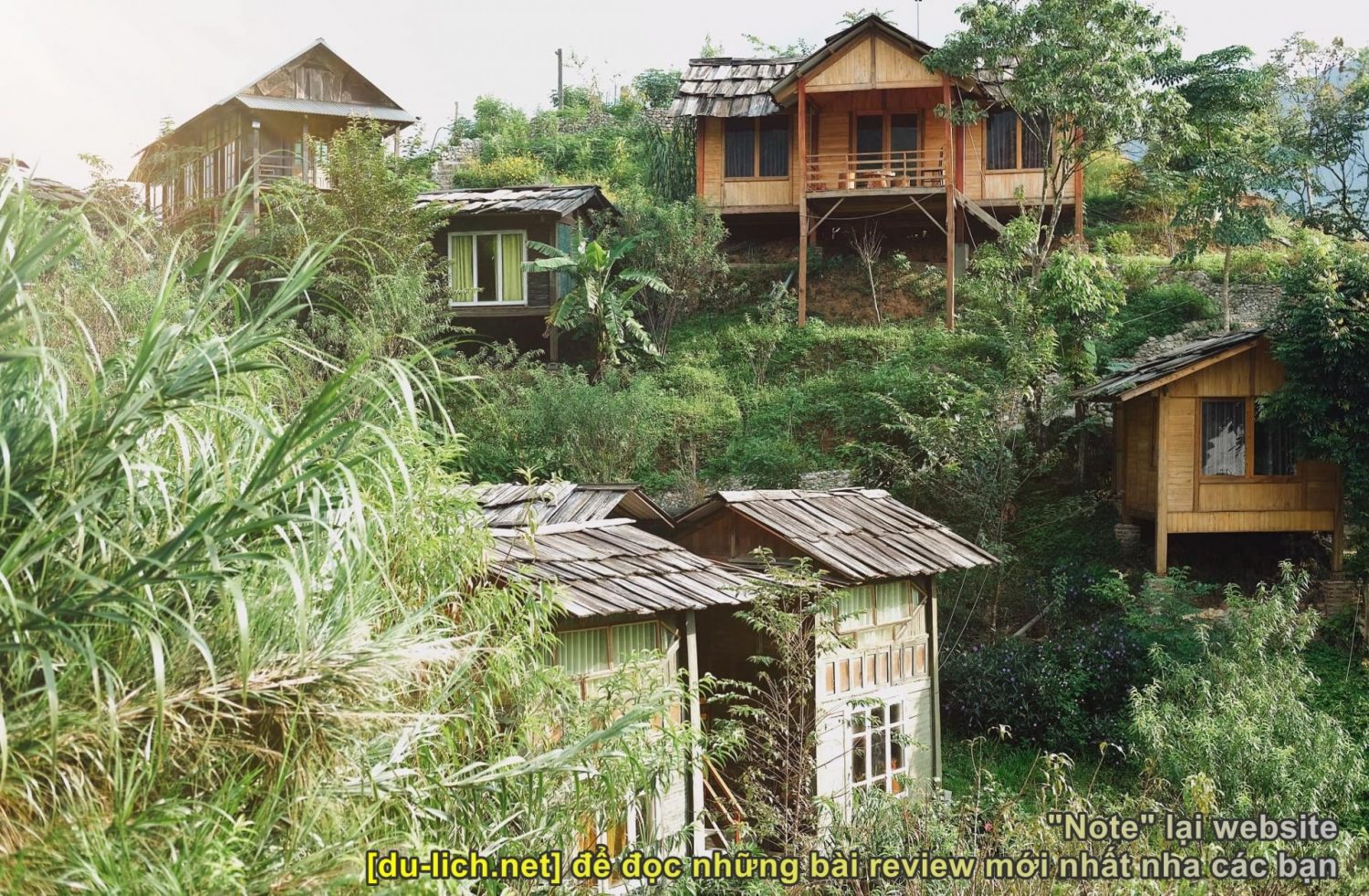 Những căn nhà chòi kiểu homestay ở khu du lịch sinh thái tắm khoáng nóng Trạm Tấu (1)